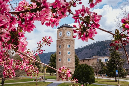 FLC earns 2025 Carnegie Classification as “Special Focus: Arts and Sciences”