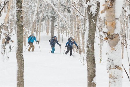 Outdoor Pursuits crafts dream Japanuary trip